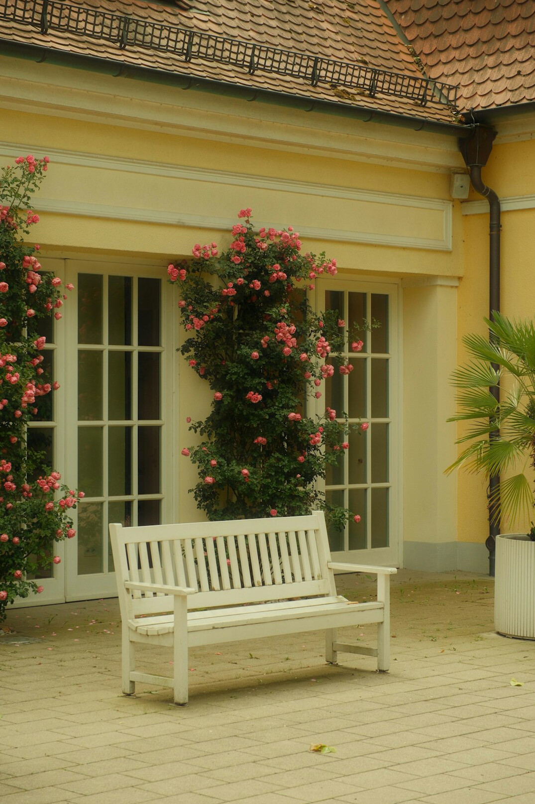 french garden terrace